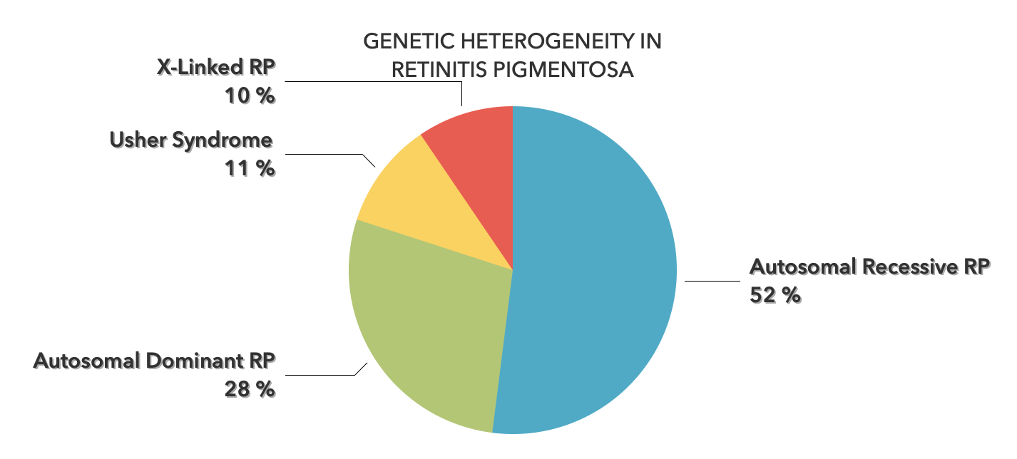 Clinical and Genetic Heterogeneity in Retinitis Pigmentosa. Genetic testing