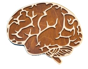 Unlocking Early Brain Aging: How Your Concerns and Sleep Habits Accelerate Mind Decline - Featured Image