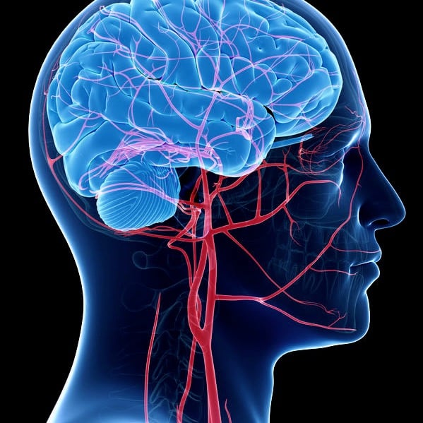 Glaucoma Ischemic Optic Neuropathy VAsculopathic View Vision Loss 