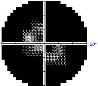 Importe - 6 von 6