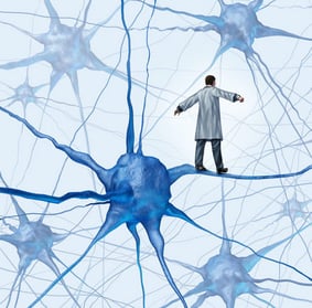 Vision Restoration Without Nerve Regeneration? - Featured Image