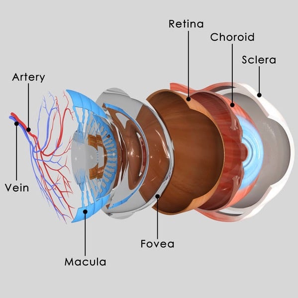 childhood glaucoma due to developmental defects in the eye